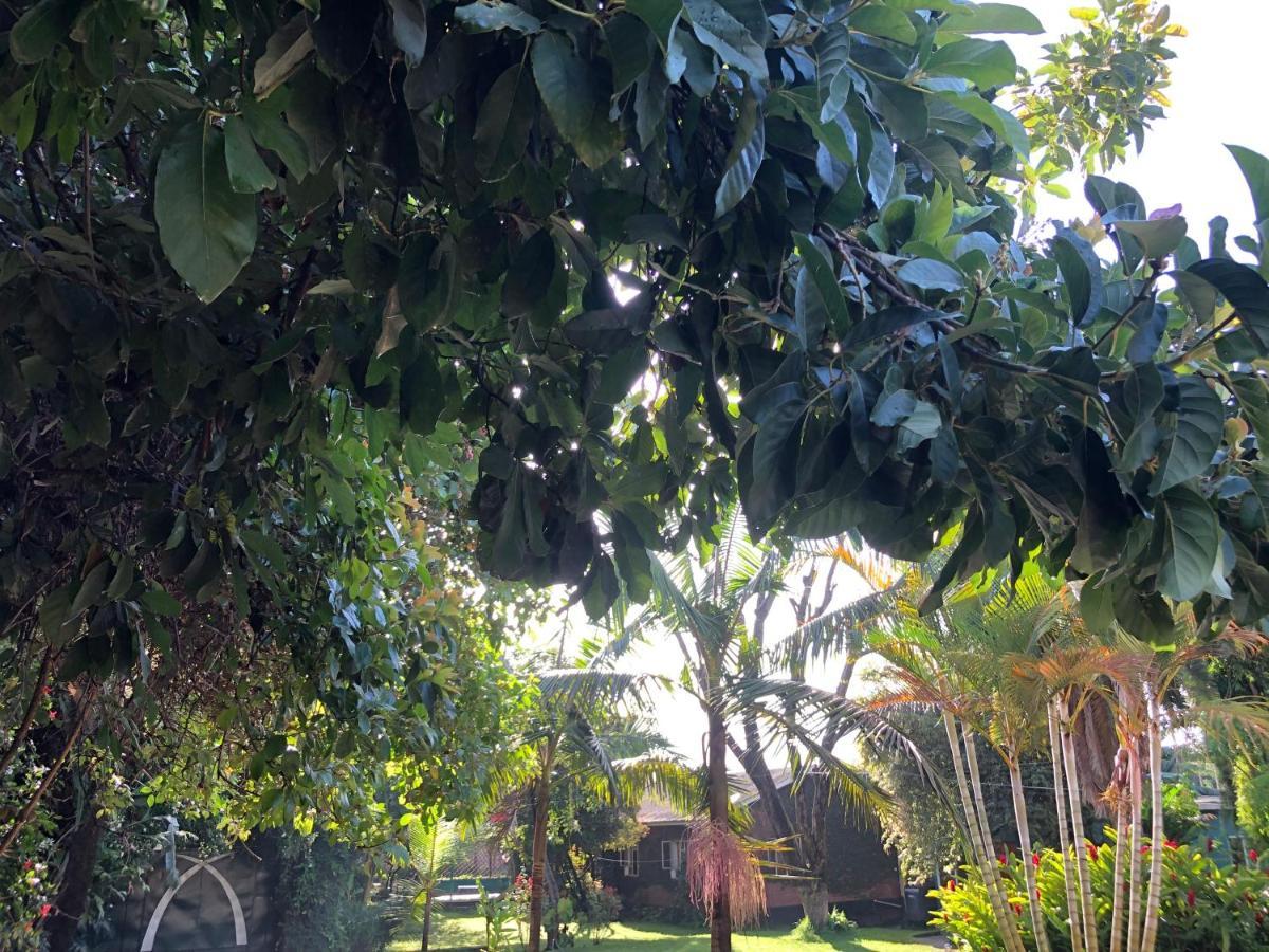 Karibu Heritage House Arusha Ngoại thất bức ảnh
