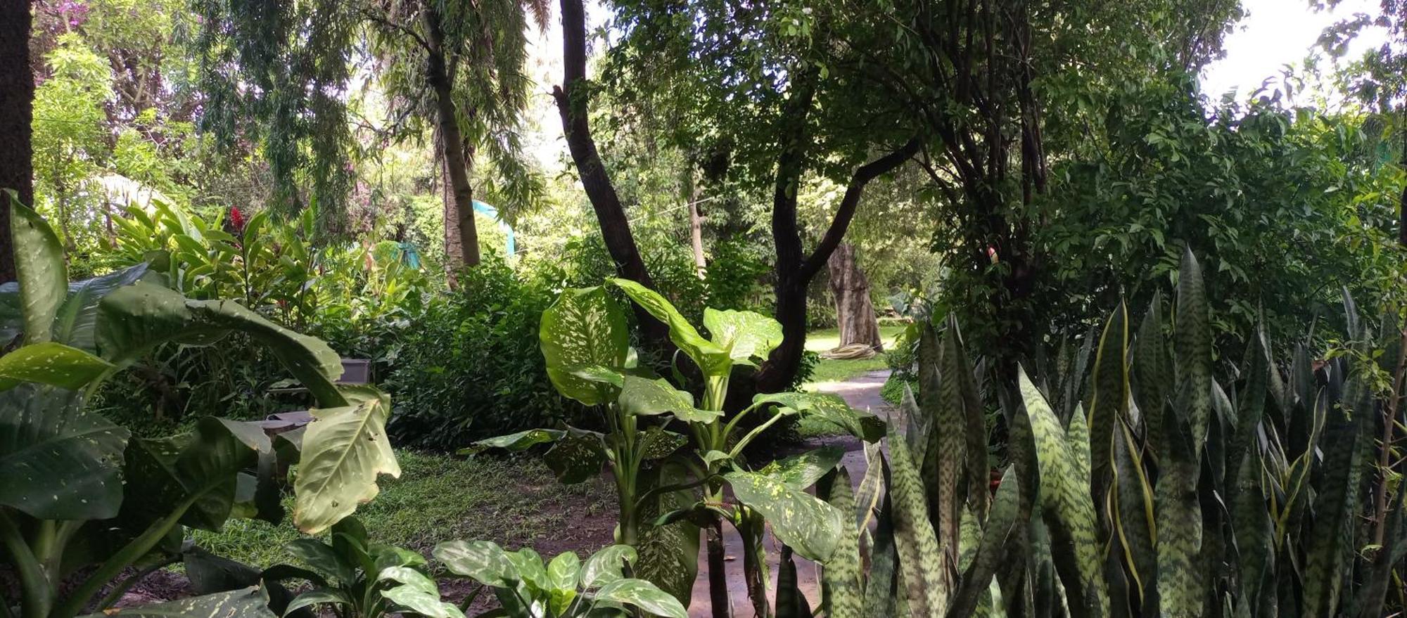 Karibu Heritage House Arusha Ngoại thất bức ảnh